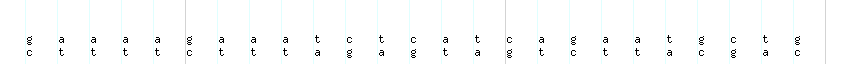 DNA/GC_Content detail