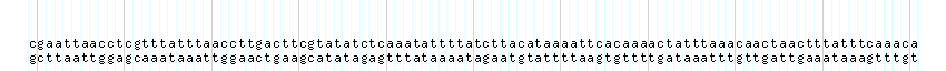 DNA/GC_Content detail