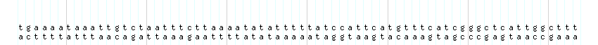 DNA/GC_Content detail