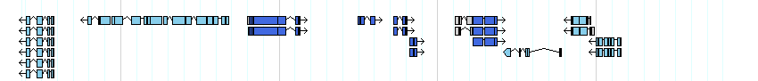 genes detail