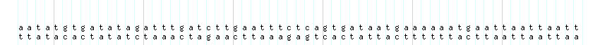 DNA/GC_Content detail