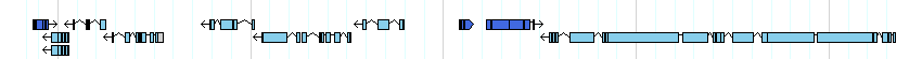 genes detail