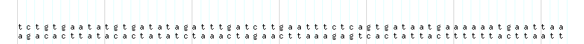 DNA/GC_Content detail