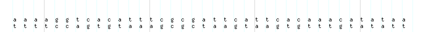 DNA/GC_Content detail