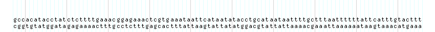 DNA/GC_Content detail