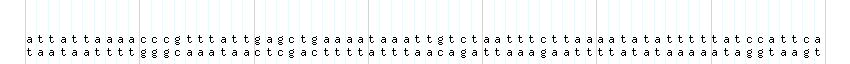 DNA/GC_Content detail