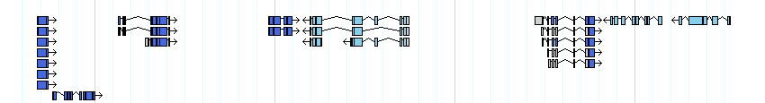 genes detail
