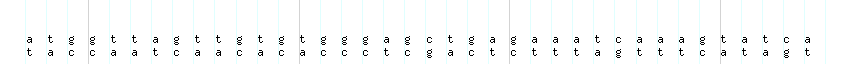 DNA/GC_Content detail