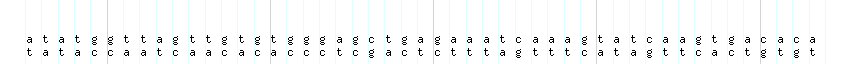 DNA/GC_Content detail