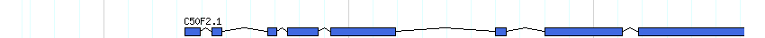 genes detail