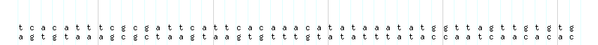 DNA/GC_Content detail