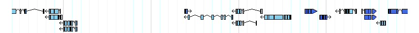 genes detail