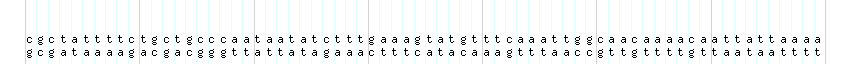 DNA/GC_Content detail