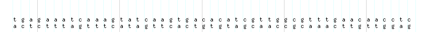 DNA/GC_Content detail