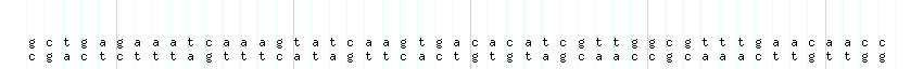 DNA/GC_Content detail