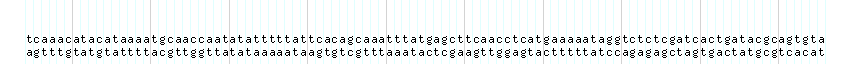 DNA/GC_Content detail