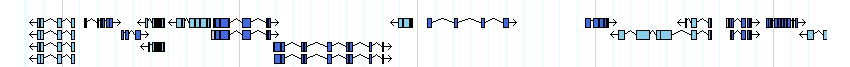 genes detail