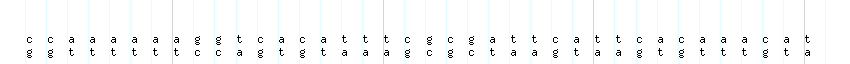 DNA/GC_Content detail