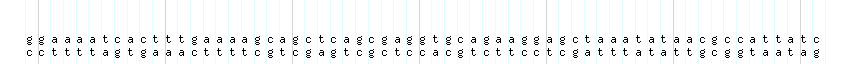 DNA/GC_Content detail