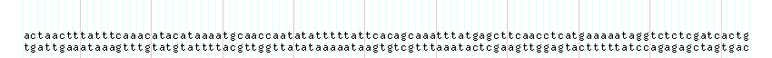 DNA/GC_Content detail