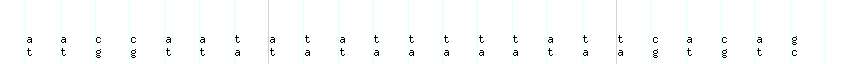 DNA/GC_Content detail