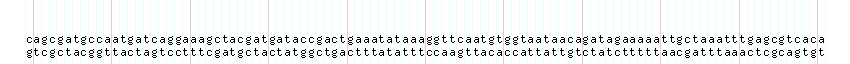 DNA/GC_Content detail