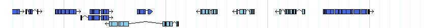genes detail