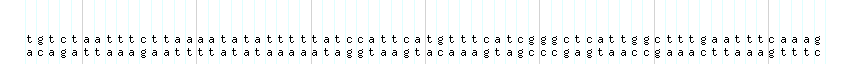 DNA/GC_Content detail