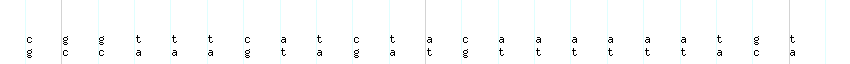 DNA/GC_Content detail