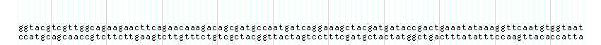 DNA/GC_Content detail