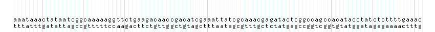 DNA/GC_Content detail