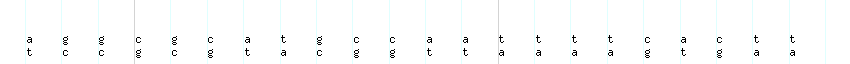 DNA/GC_Content detail