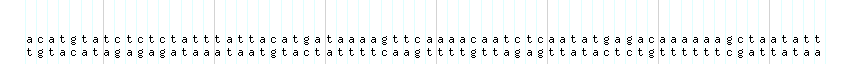 DNA/GC_Content detail