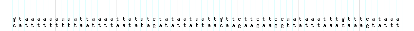 DNA/GC_Content detail