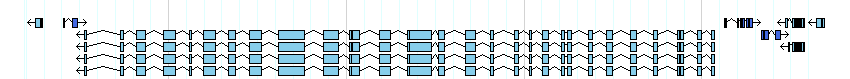 genes detail