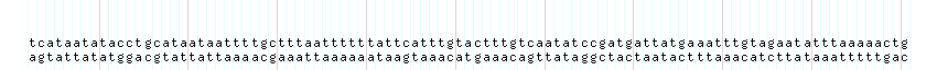 DNA/GC_Content detail