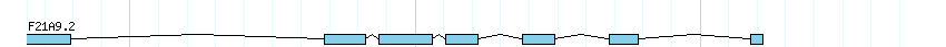 genes detail