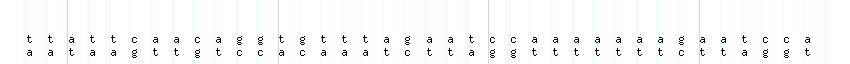 DNA/GC_Content detail