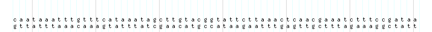 DNA/GC_Content detail