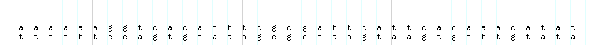 DNA/GC_Content detail