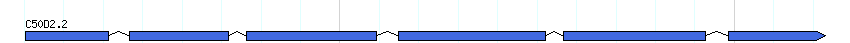 genes detail