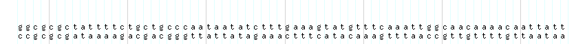 DNA/GC_Content detail