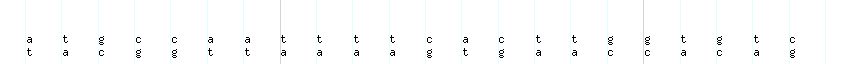 DNA/GC_Content detail
