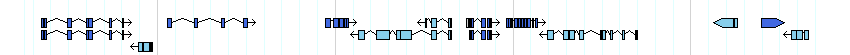 genes detail
