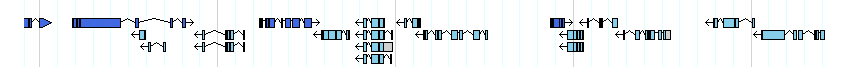 genes detail