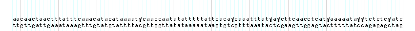 DNA/GC_Content detail