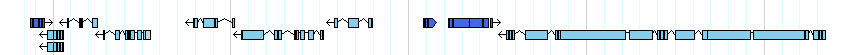 genes detail