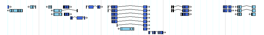 genes detail