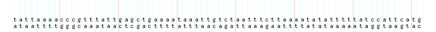 DNA/GC_Content detail