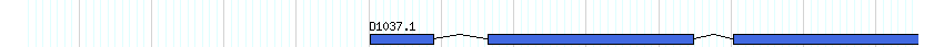 genes detail